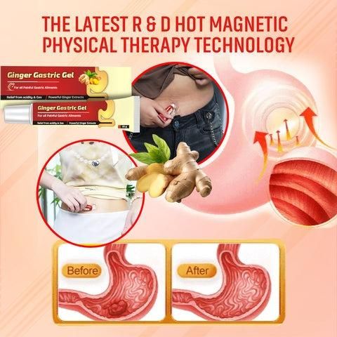 "Ginger Gastric Gel - Pack of 2 "
